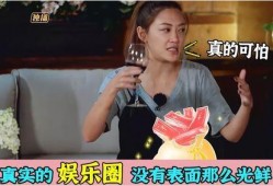 何炅娱乐爆料事件真相,真相大白背后的曲折历程