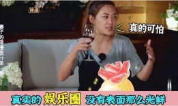 何炅娱乐爆料事件真相,真相大白背后的曲折历程